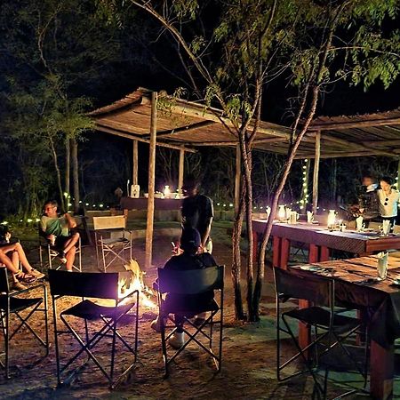 فندق The Wild Olive Tree Camp Welverdiend  المظهر الخارجي الصورة
