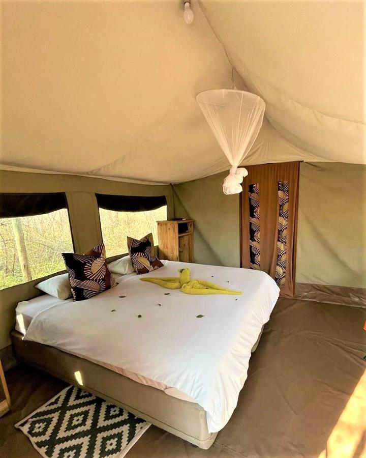فندق The Wild Olive Tree Camp Welverdiend  المظهر الخارجي الصورة