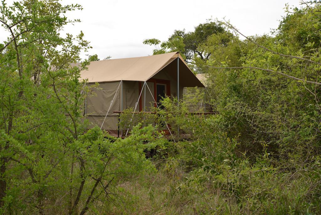 فندق The Wild Olive Tree Camp Welverdiend  المظهر الخارجي الصورة